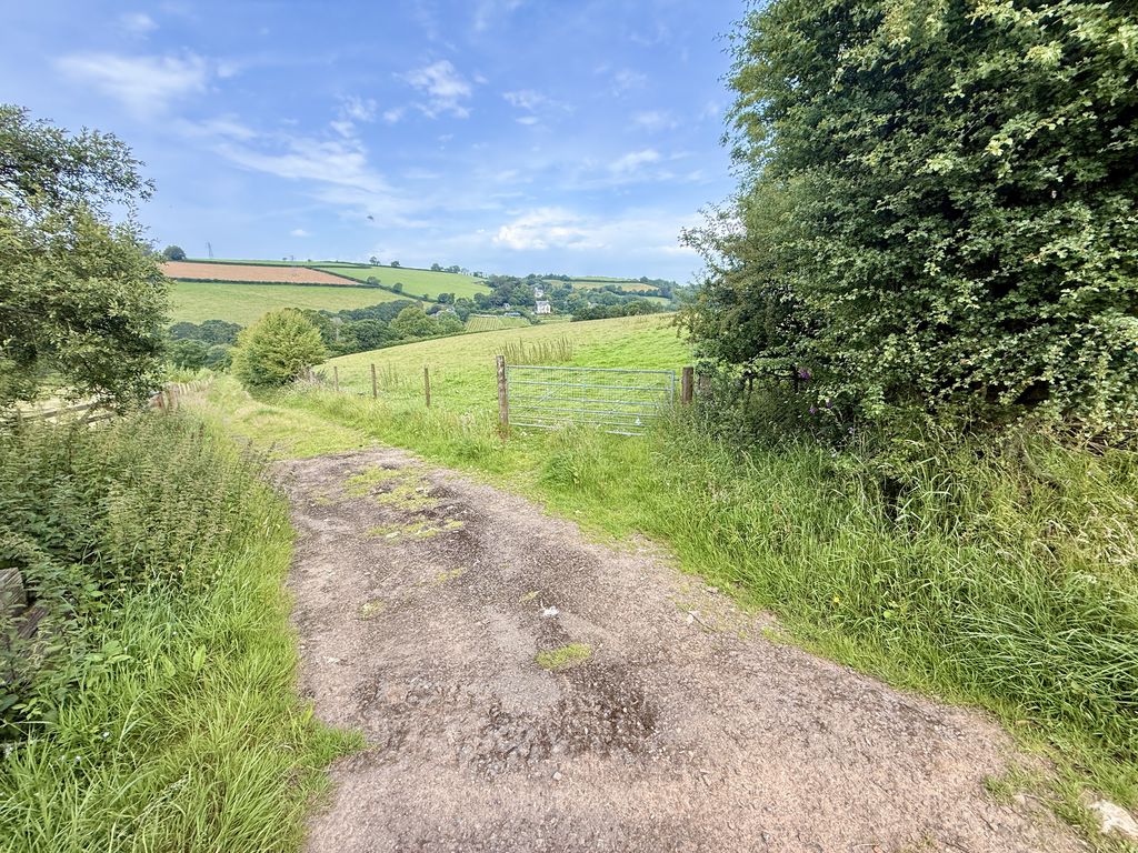  Trewidland
